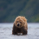 Image for article titled The most inspiring nature photography of the year